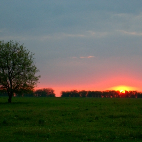 sunset in red