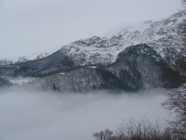 Мъгла