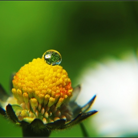 The world in a drop