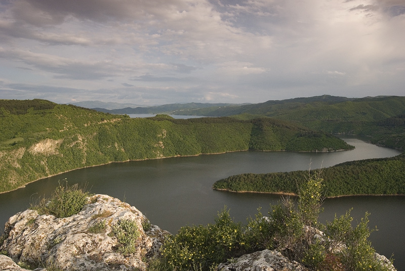 Кърджали