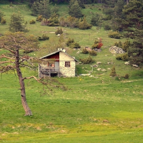 Вила 