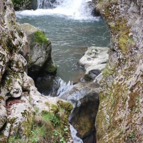 priroda