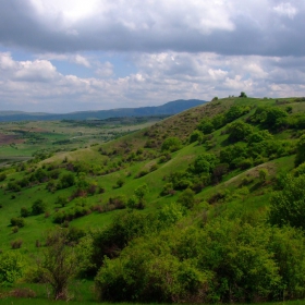 Зелено