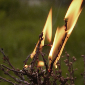 fire