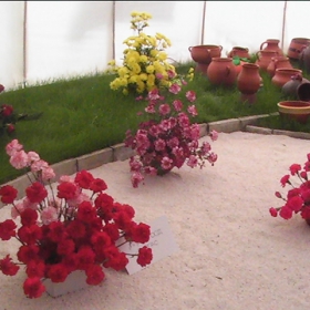 Cvetq ot ''Flora Burgas 2008''