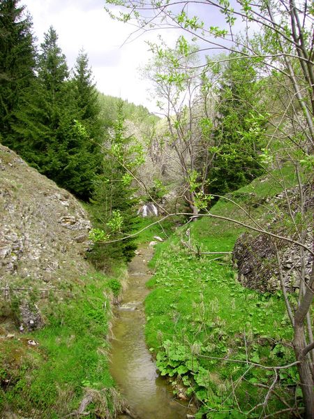 Природата
