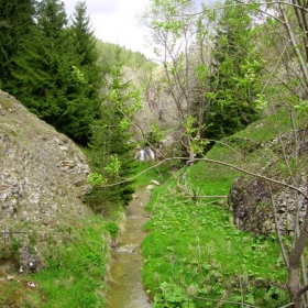Природата