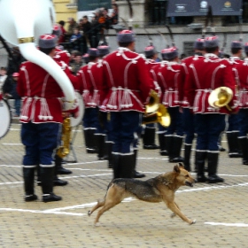 6 май Гергьовски парад 23 (XAXAXaxaxa :D)