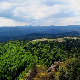 Буколически рай