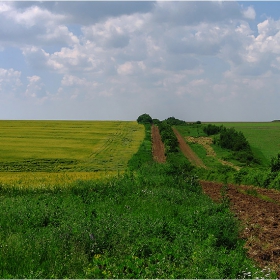 на границата...(  България с Румъния)