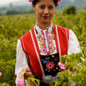 Отново из долината на розите....:)