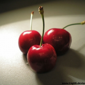 Cherry love