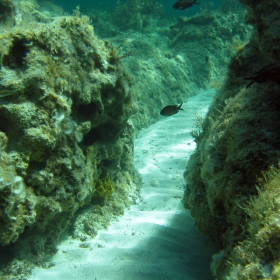 podvodna pateka, Mediteranean sea