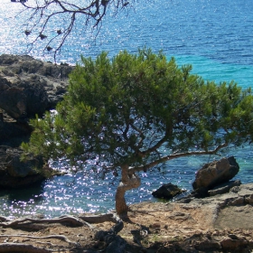 Mallorca