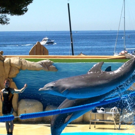 Marineland