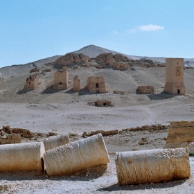 Palmyra