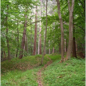 Kladnitsa pathway