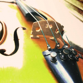 violin