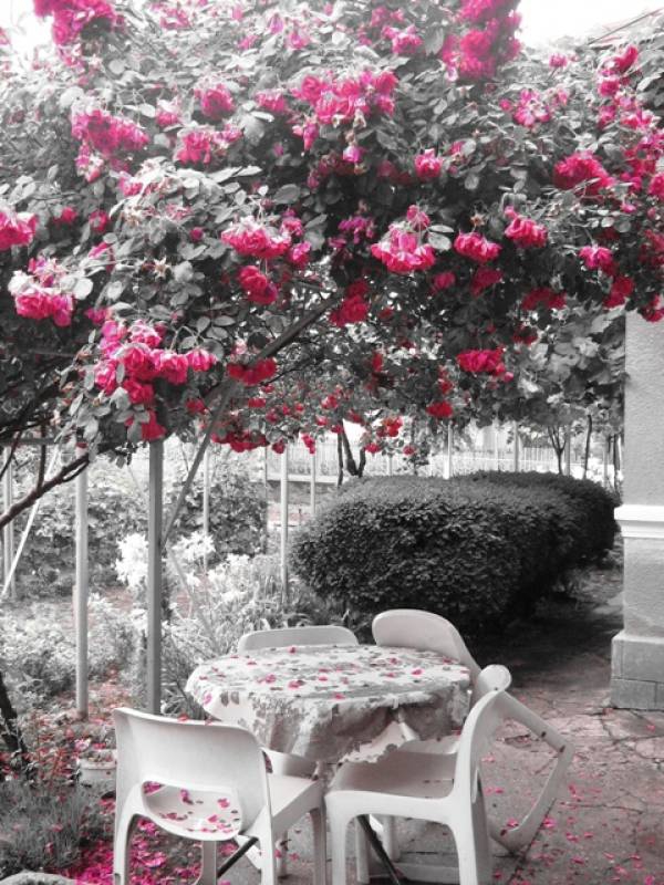 My secret garden