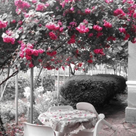 My secret garden