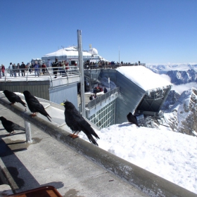 Zugspitze - най-голям връх в Германия