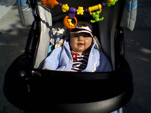 morsko chedo