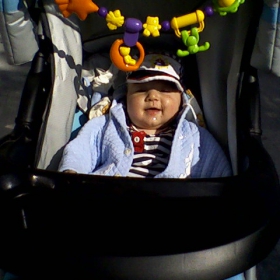 morsko chedo