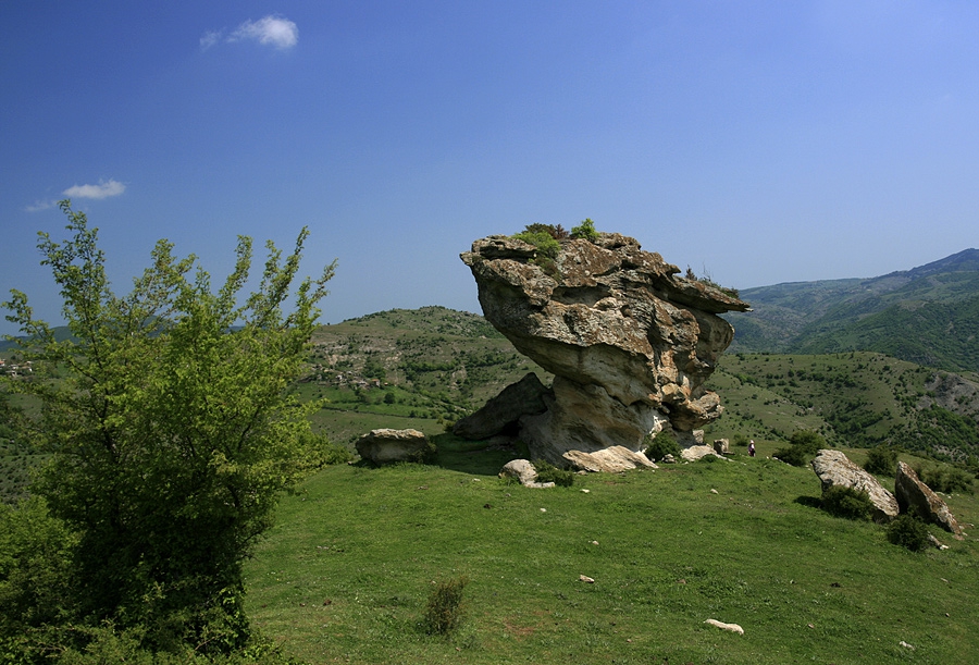 Скална гъба