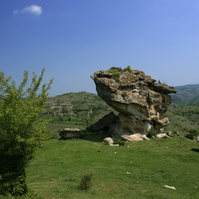 Скална гъба