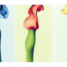 Smoken Flowers