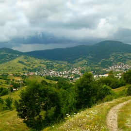 Над Ардино