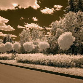 Първи ИР тест Nikon D70 IR