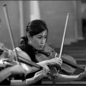 .. Viola Section Part ..