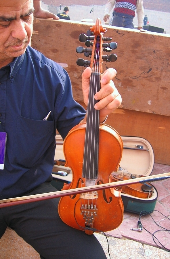 Разновидност на Viola d' Amore