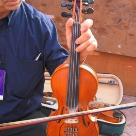 Разновидност на Viola d' Amore