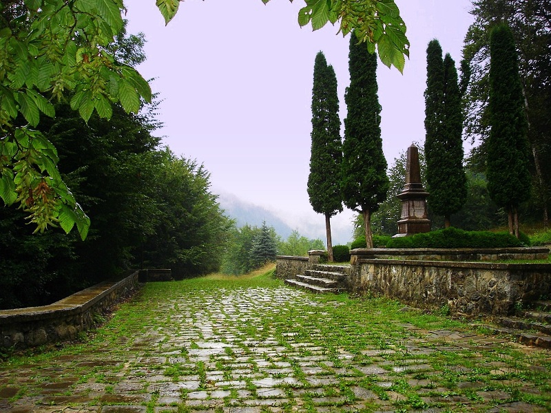 Ribarica