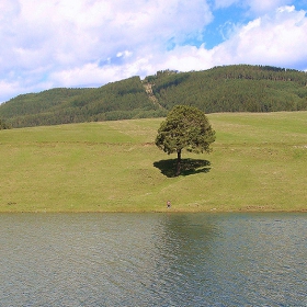 Самотни