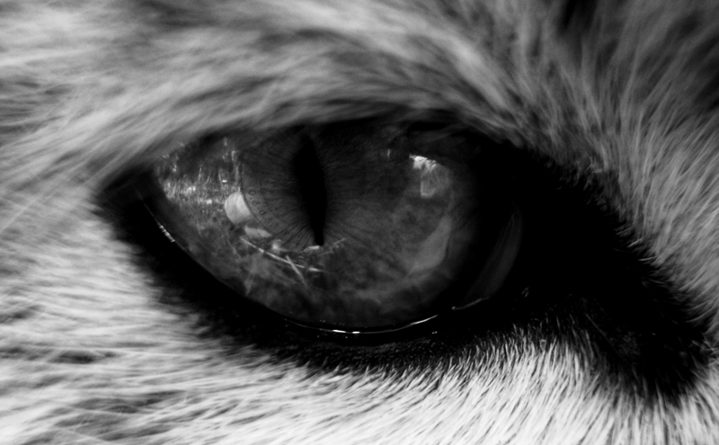 if only I could see you now......................