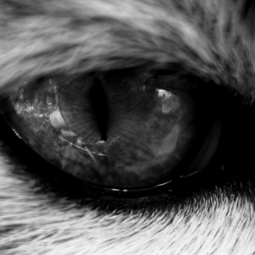 if only I could see you now......................