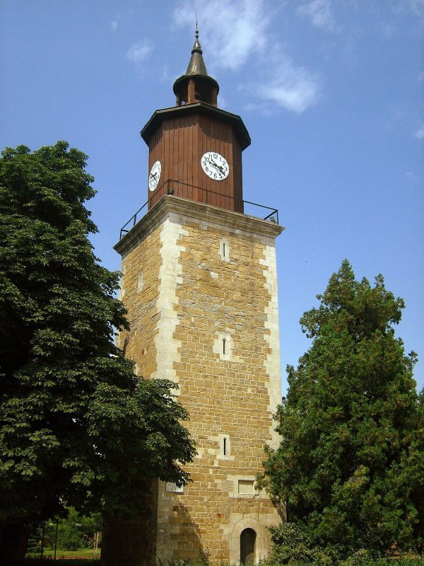 Часовниковата кула на Свищов