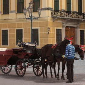 Трябва и да се яде (Vienna)