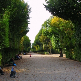 Schonbrunn Gardens, Vienna