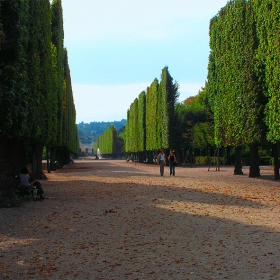 Schonbrunn Gardens 2, Vienna