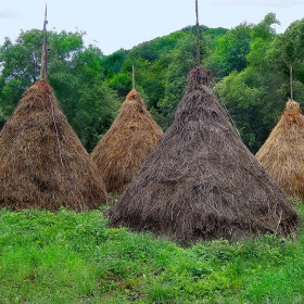 Купи и пики