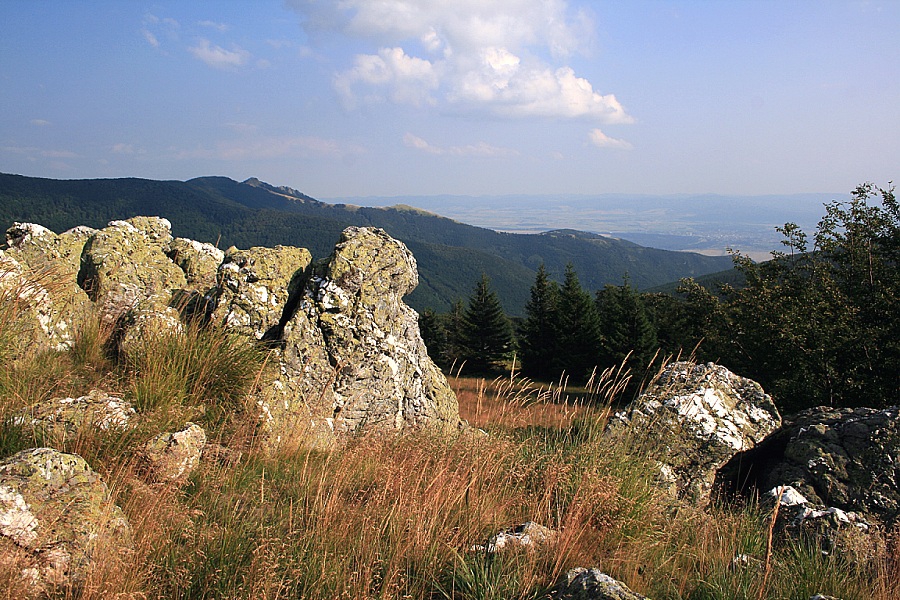 В края на юли...