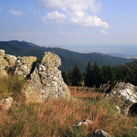 В края на юли...