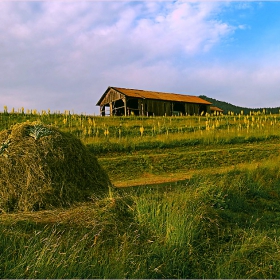 Сенокос в Равногор