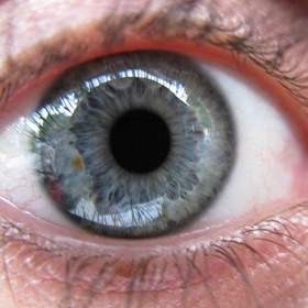 My Eye