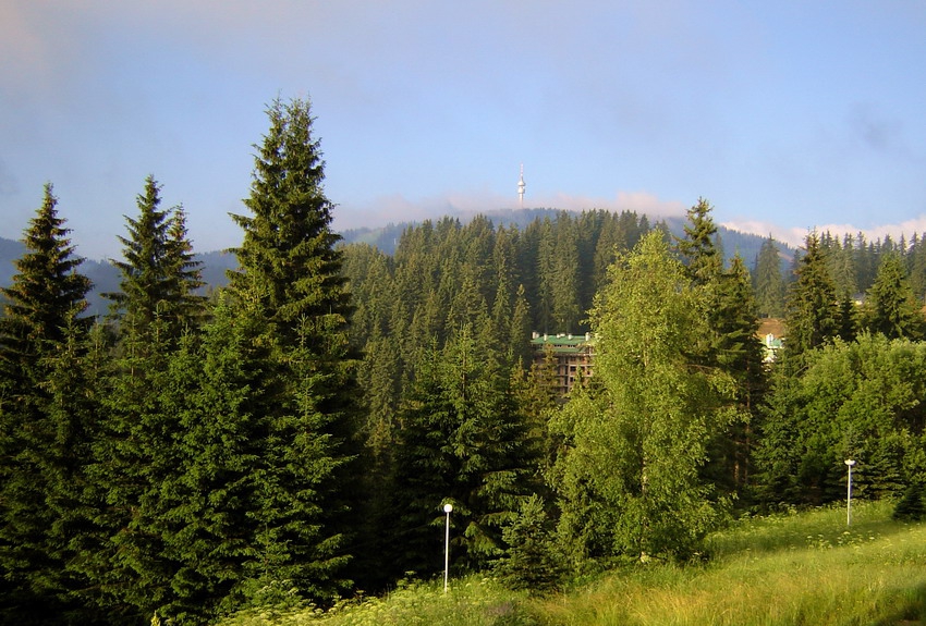 от Пампорово