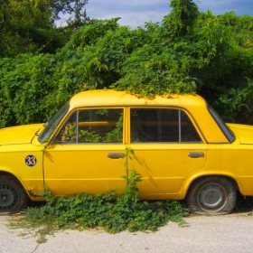 Симбиоза